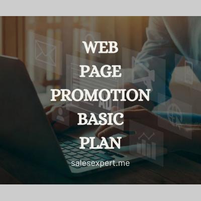 Web page promotion basic plan