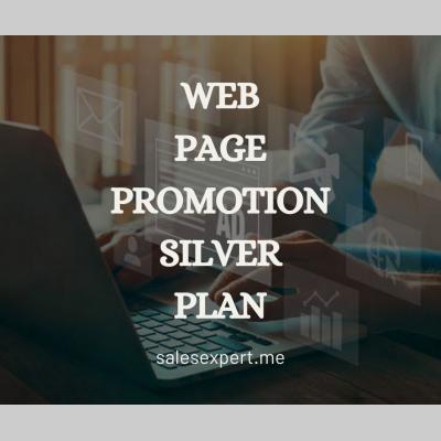 Web page promotion silver plan